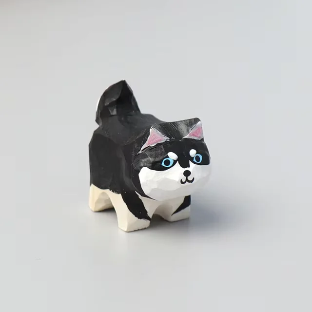Black and white cat